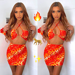 Brogan Ballantyne - Cheetah Fire Set